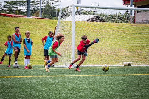 Photo of Soccer Players on Field